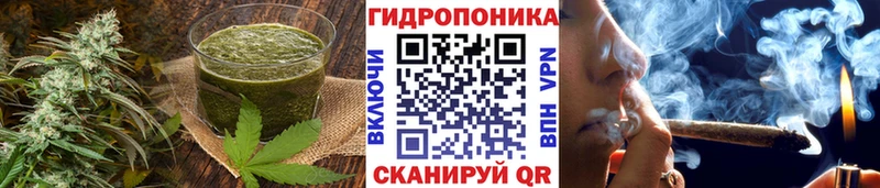 mega ONION  Чадан  Canna-Cookies конопля 