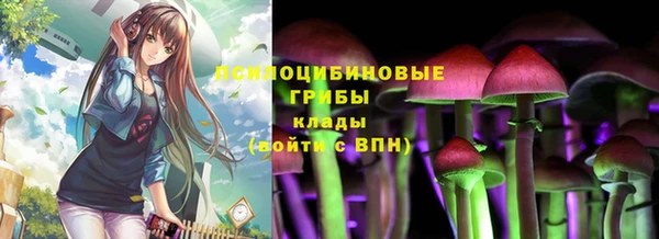 дурь Лагань
