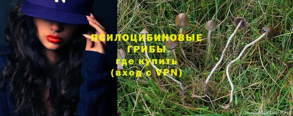 дурь Лагань