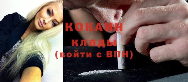 индика Ладушкин
