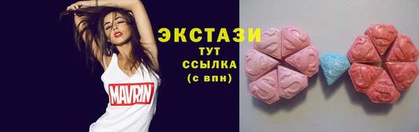 индика Ладушкин