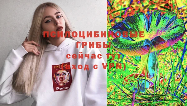 дурь Лагань