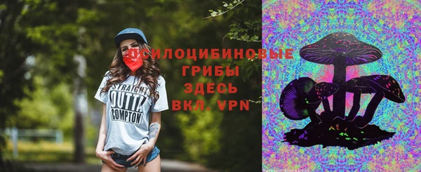 бошки Лабытнанги