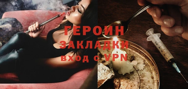 индика Ладушкин