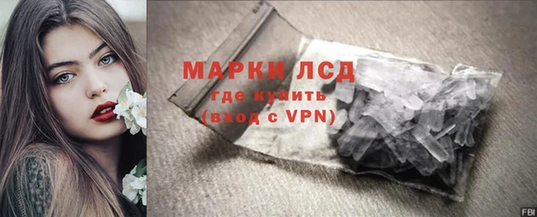 индика Ладушкин