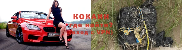 индика Ладушкин